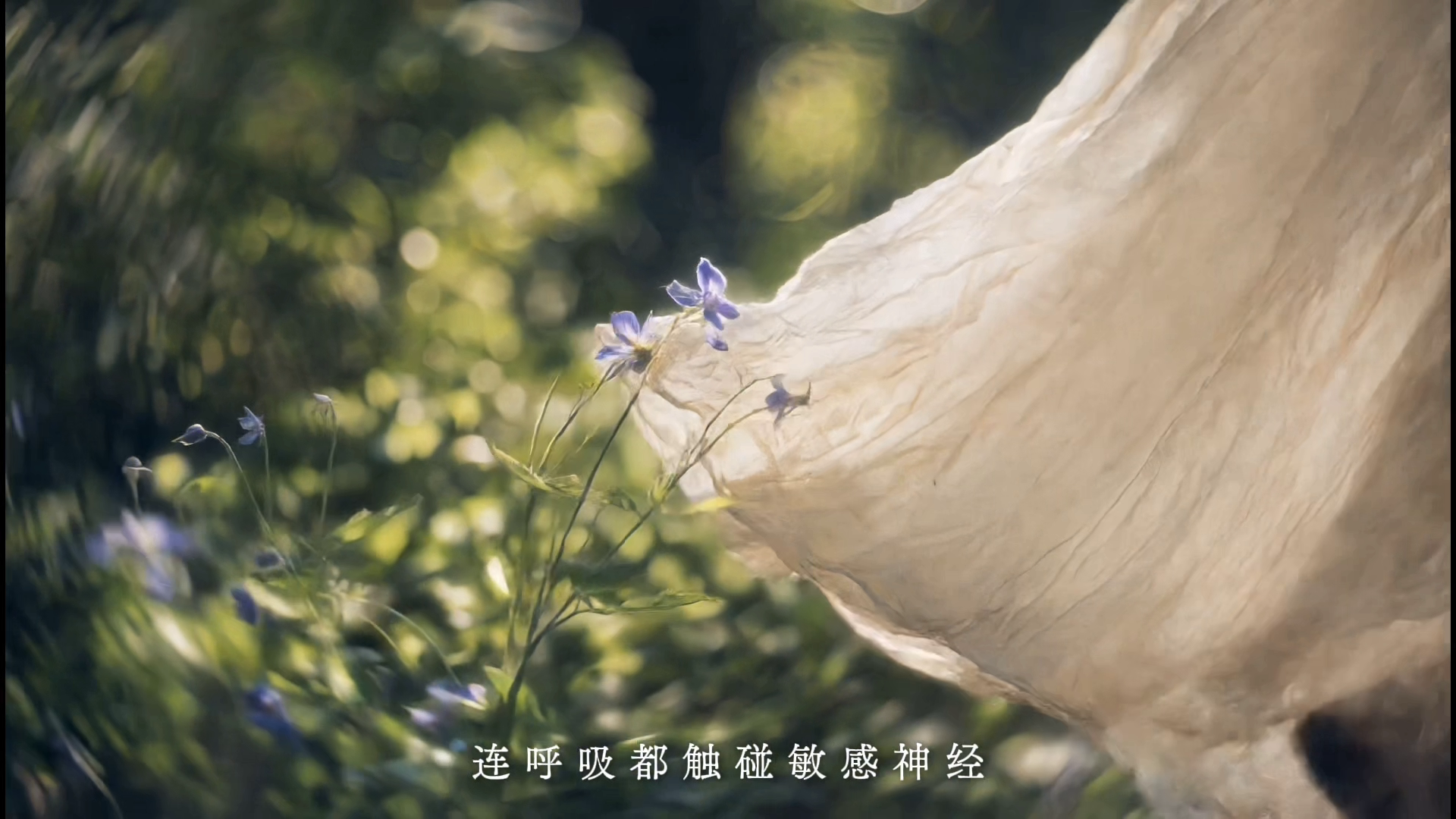广告补充画面:柔软触碰
