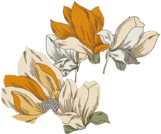 花簇元素