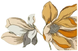 对花元素